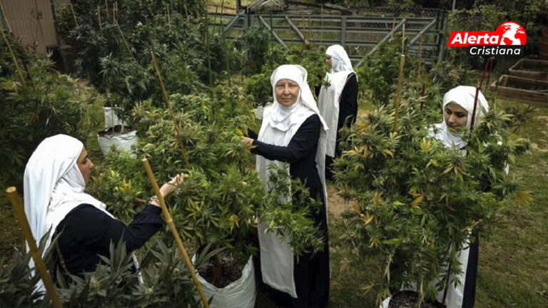 Mujeres vestidas de monja cultivan y comercializan marihuana