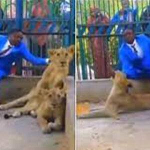 Un_pastor_nigeriano_entró_en_una_jaula_con_leones_para_recrear_una