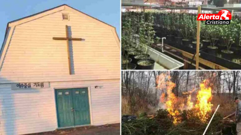 En Tennessee fue arrestado un hombre por cultivar marihuana en una iglesia