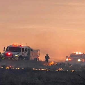 Texas se enfrenta al peor incendio forestal de toda su historia y deja dos muertos