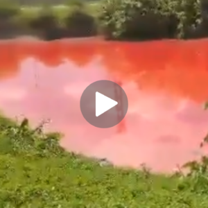 INCREÍBLE Ríos se tiñen de rojo sangre en Argentina y Perú